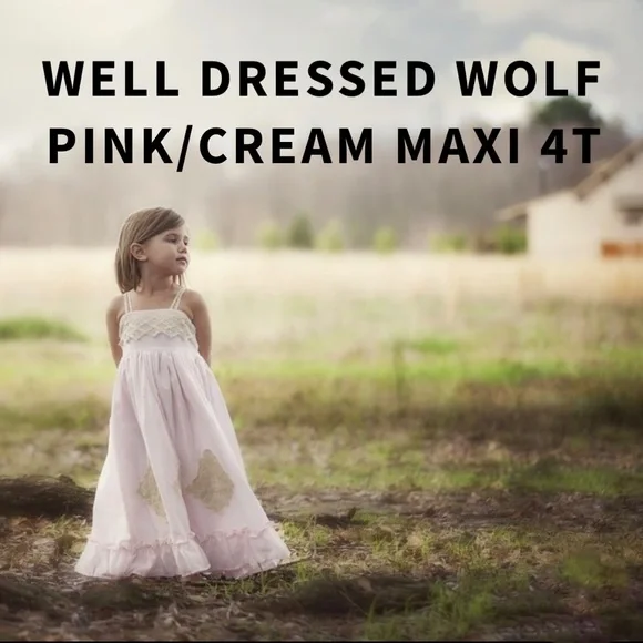 well dressed wolf pink dress Well Dressed Wolf Daydream Light Pink Dress with Floral Embroidery 5
